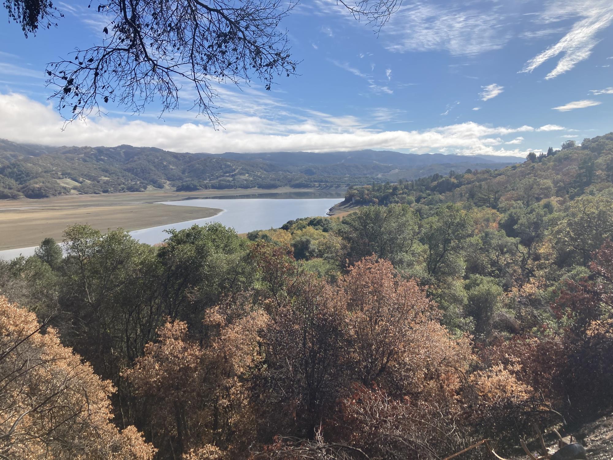 Hopkins Lake Mendo