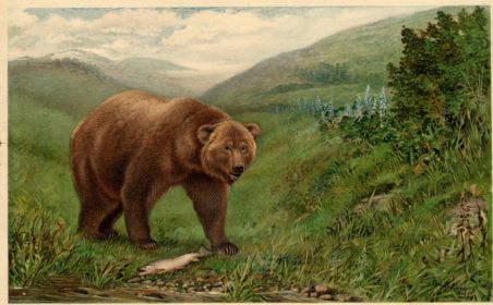 Painting of Grizzly bear with fish, mountains and trees in background