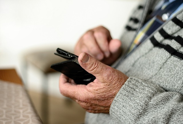 hands holding a cellular phone.