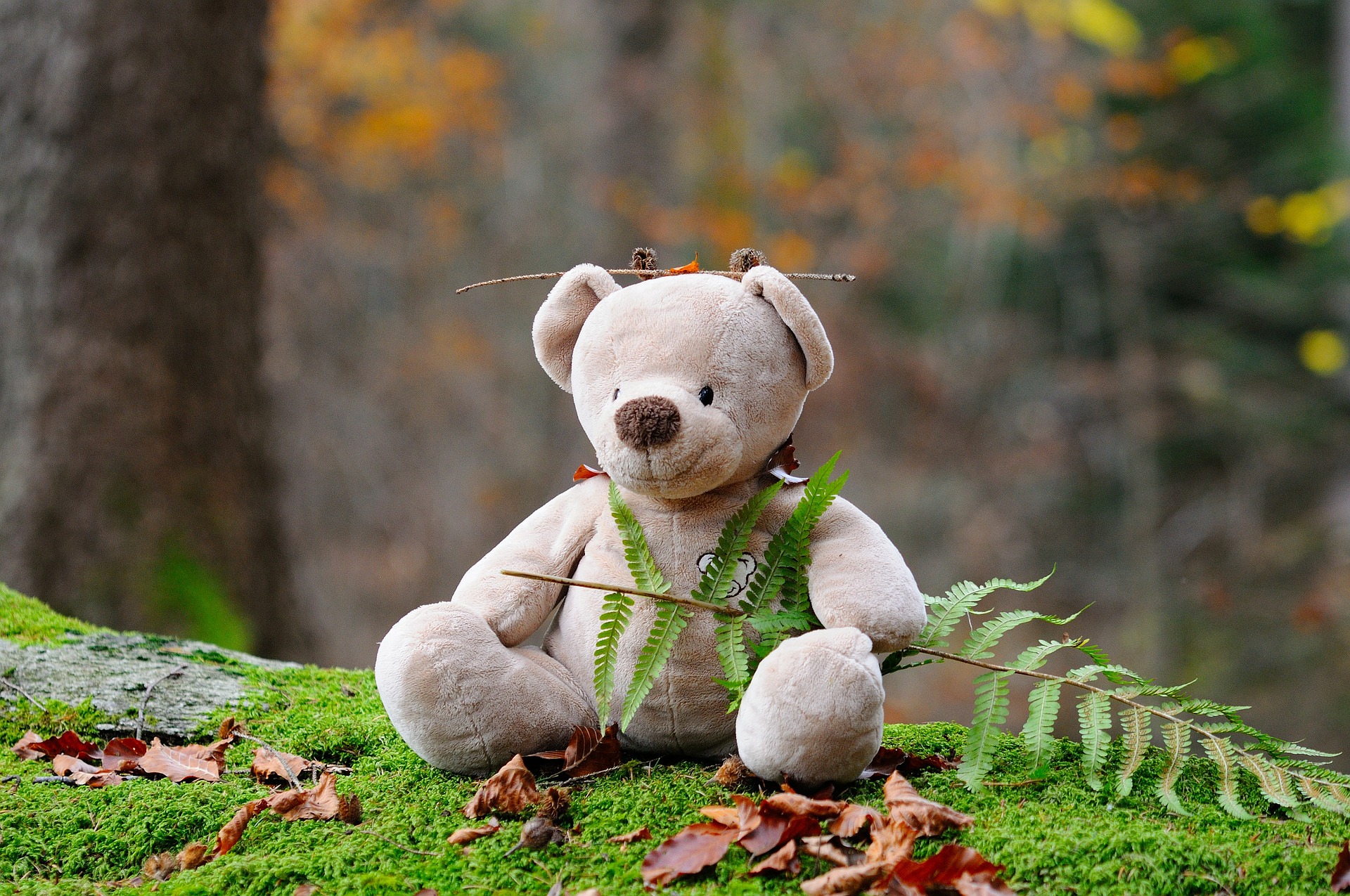 Teddy bear sitting with a fern on a mossy log.