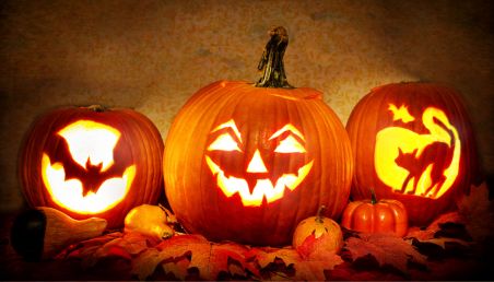 A group of three carved orange pumpkins. Pumpkins illuminated and have a bat, jack-o-lantern-, and cat designs. 