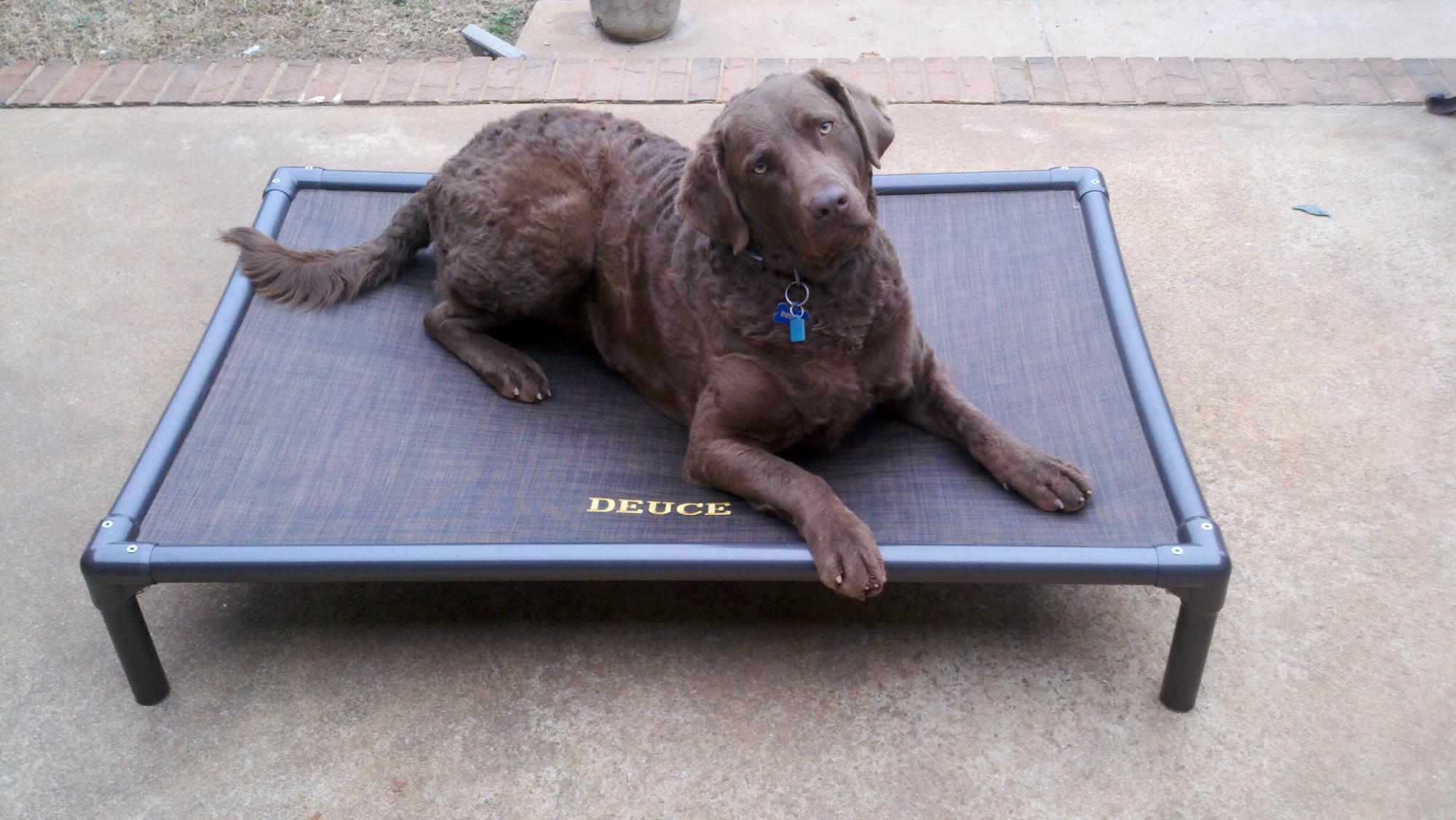 Kuranda-Dog-Bed